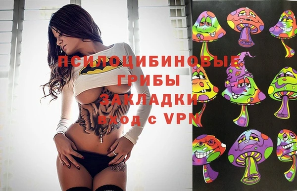 амф Алексеевка