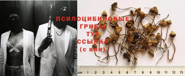 амф Алексеевка